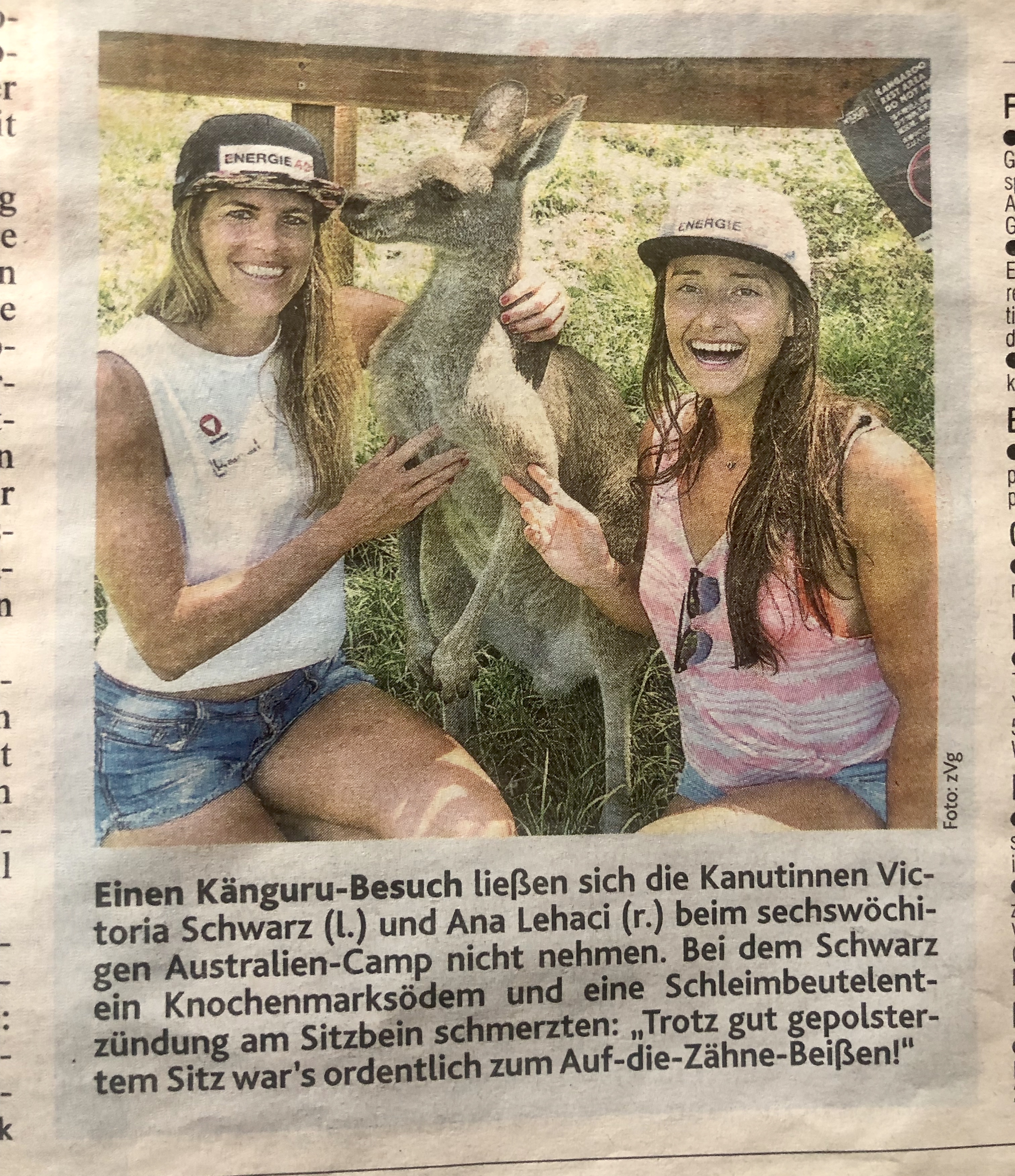 Känguru Besuch